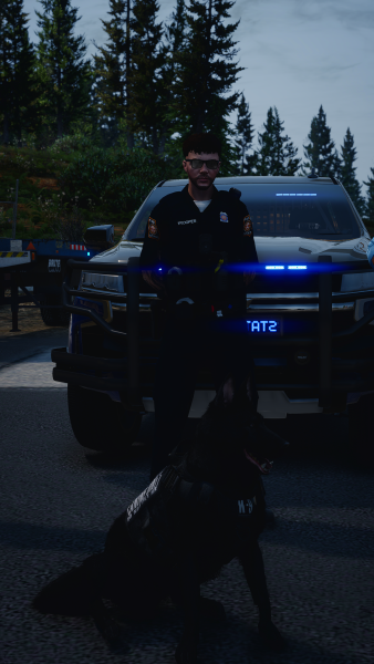 SP Solo 2.png